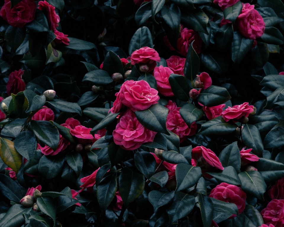 Moody Cinematic After 2